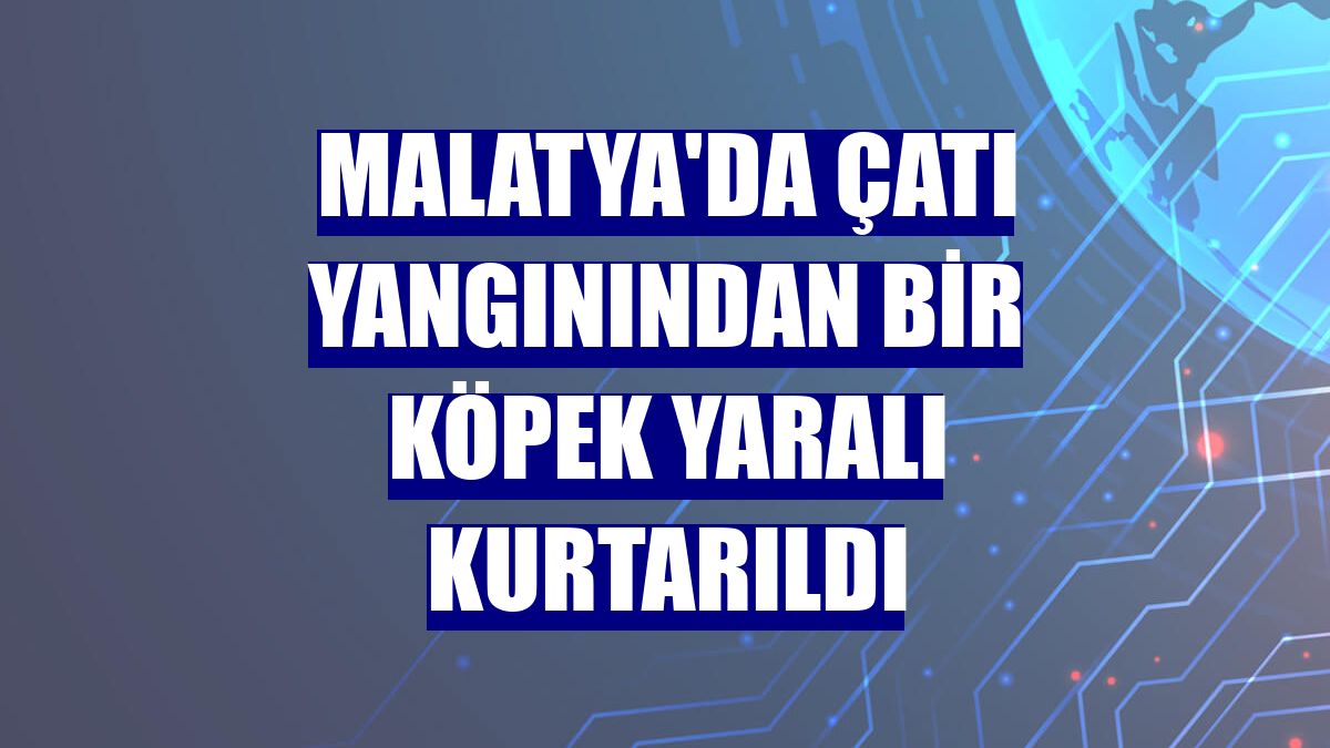 Malatya'da çatı yangınından bir köpek yaralı kurtarıldı