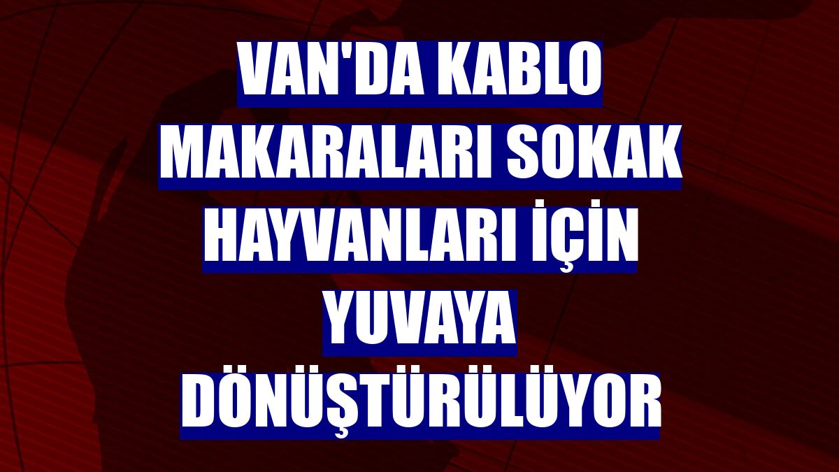 Van'da kablo makaraları sokak hayvanları için yuvaya dönüştürülüyor