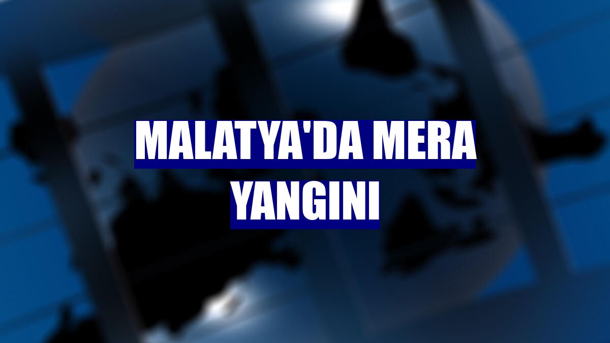 Malatya'da mera yangını