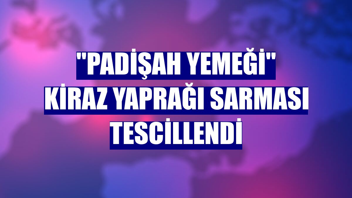 "Padişah yemeği" kiraz yaprağı sarması tescillendi