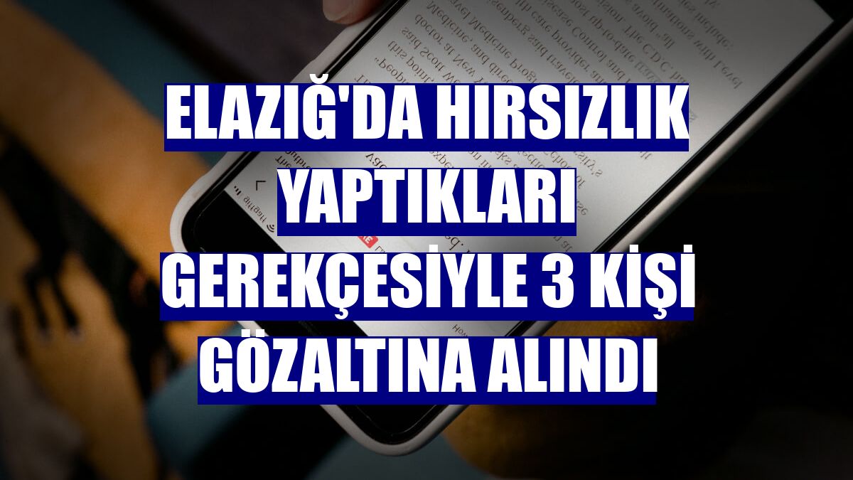 Elazığ'da hırsızlık yaptıkları gerekçesiyle 3 kişi gözaltına alındı