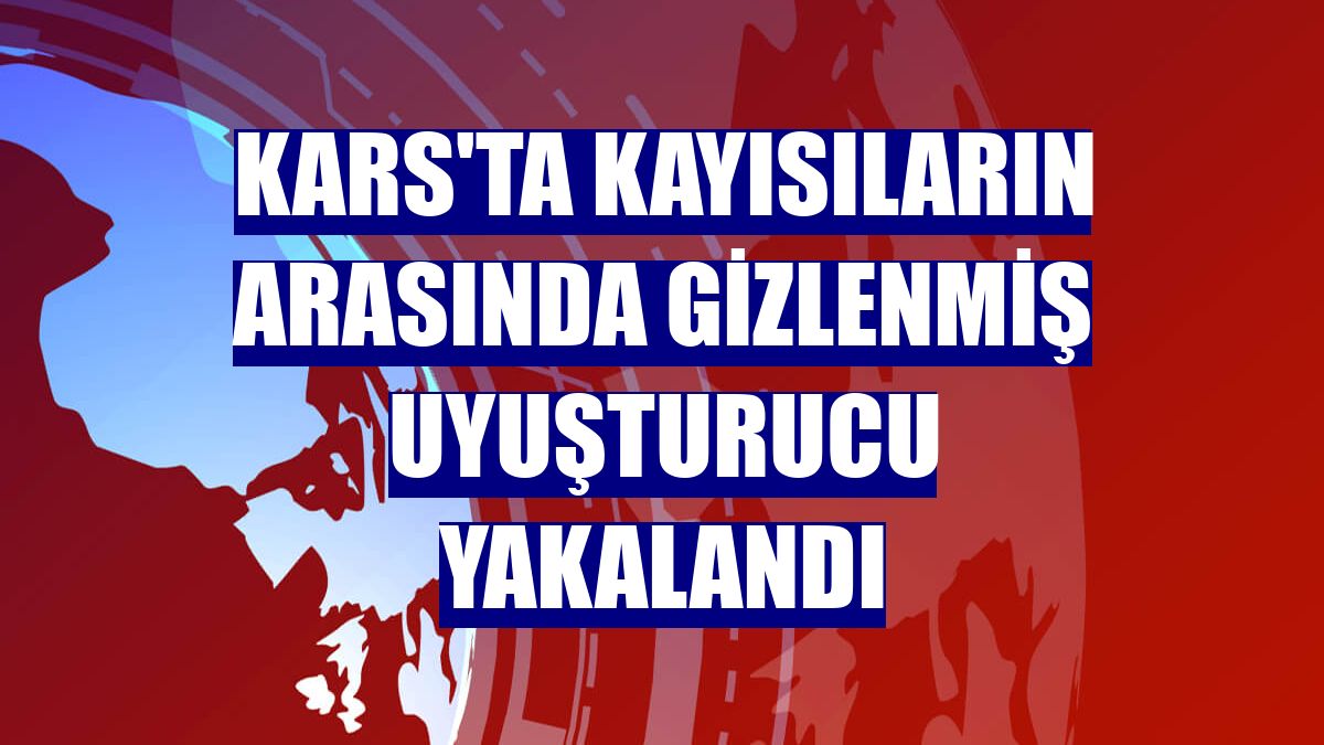 Kars'ta kayısıların arasında gizlenmiş uyuşturucu yakalandı