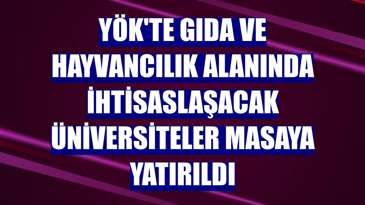 YÖK'te gıda ve hayvancılık alanında ihtisaslaşacak üniversiteler masaya yatırıldı