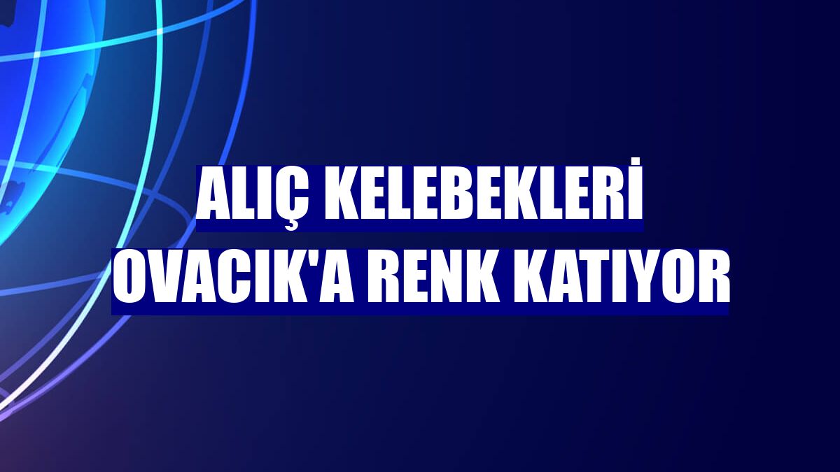 Alıç kelebekleri Ovacık'a renk katıyor