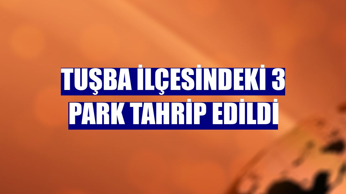 Tuşba ilçesindeki 3 park tahrip edildi