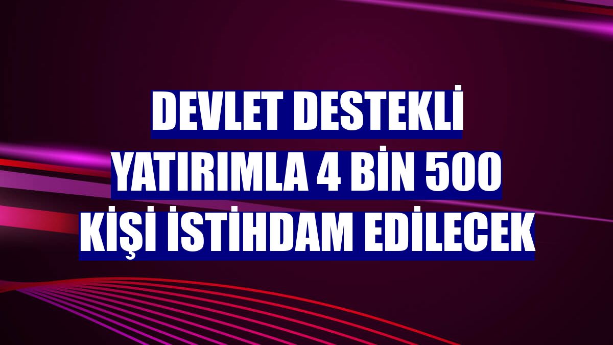 Devlet destekli yatırımla 4 bin 500 kişi istihdam edilecek