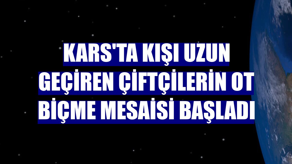 Kars'ta kışı uzun geçiren çiftçilerin ot biçme mesaisi başladı