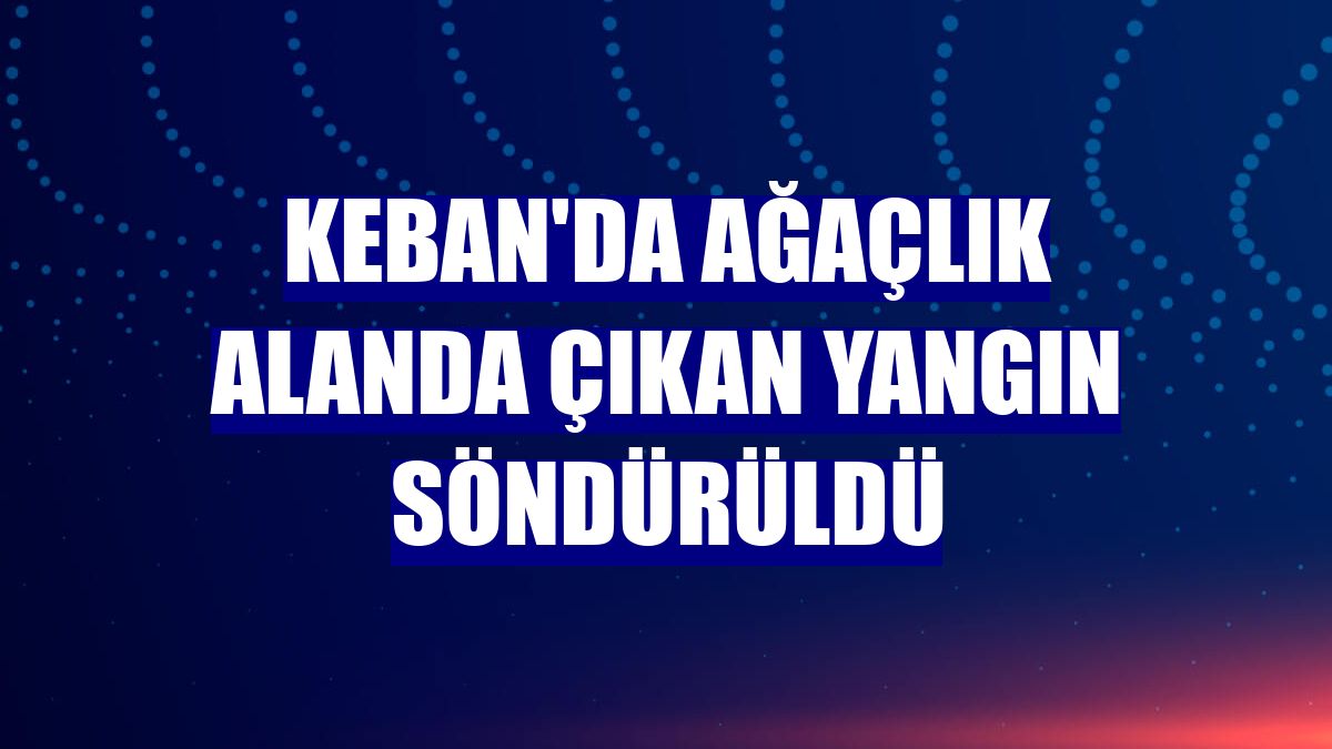 Keban'da ağaçlık alanda çıkan yangın söndürüldü
