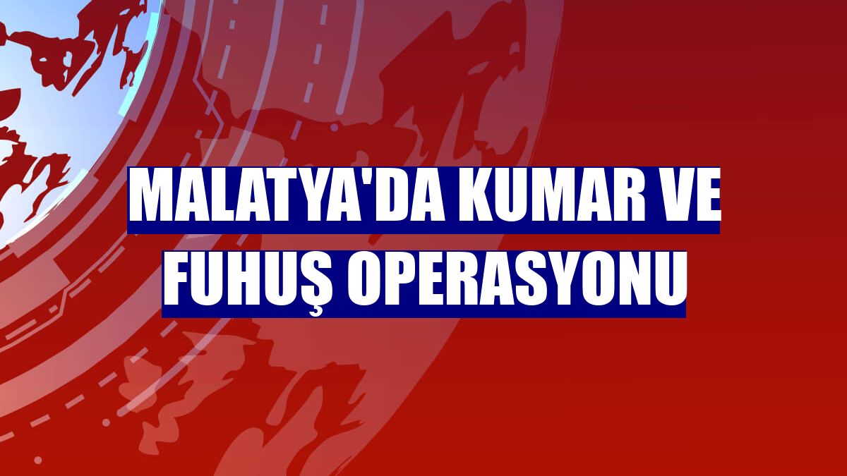 Malatya'da kumar ve fuhuş operasyonu