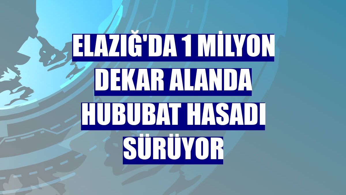Elazığ'da 1 milyon dekar alanda hububat hasadı sürüyor