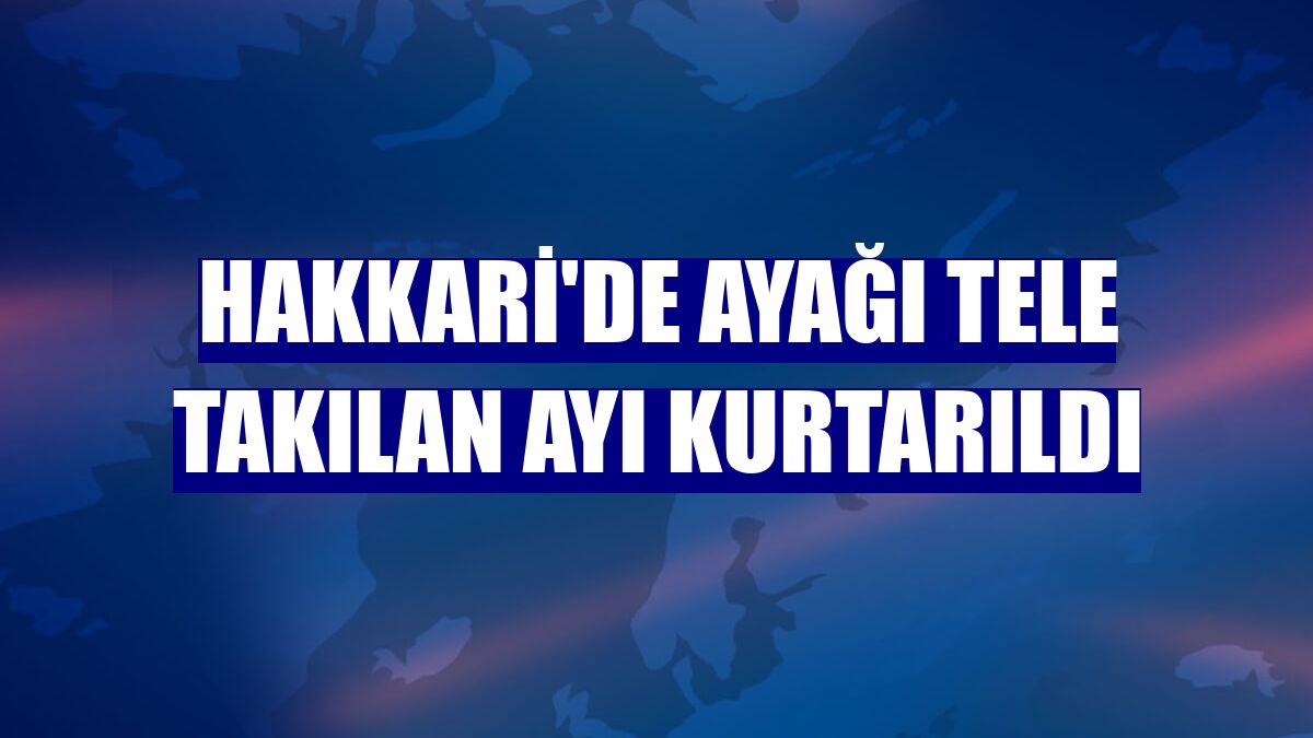 Hakkari'de ayağı tele takılan ayı kurtarıldı