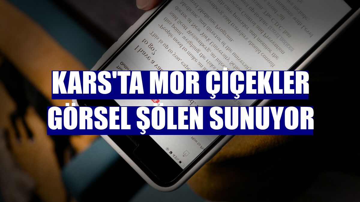 Kars'ta mor çiçekler görsel şölen sunuyor