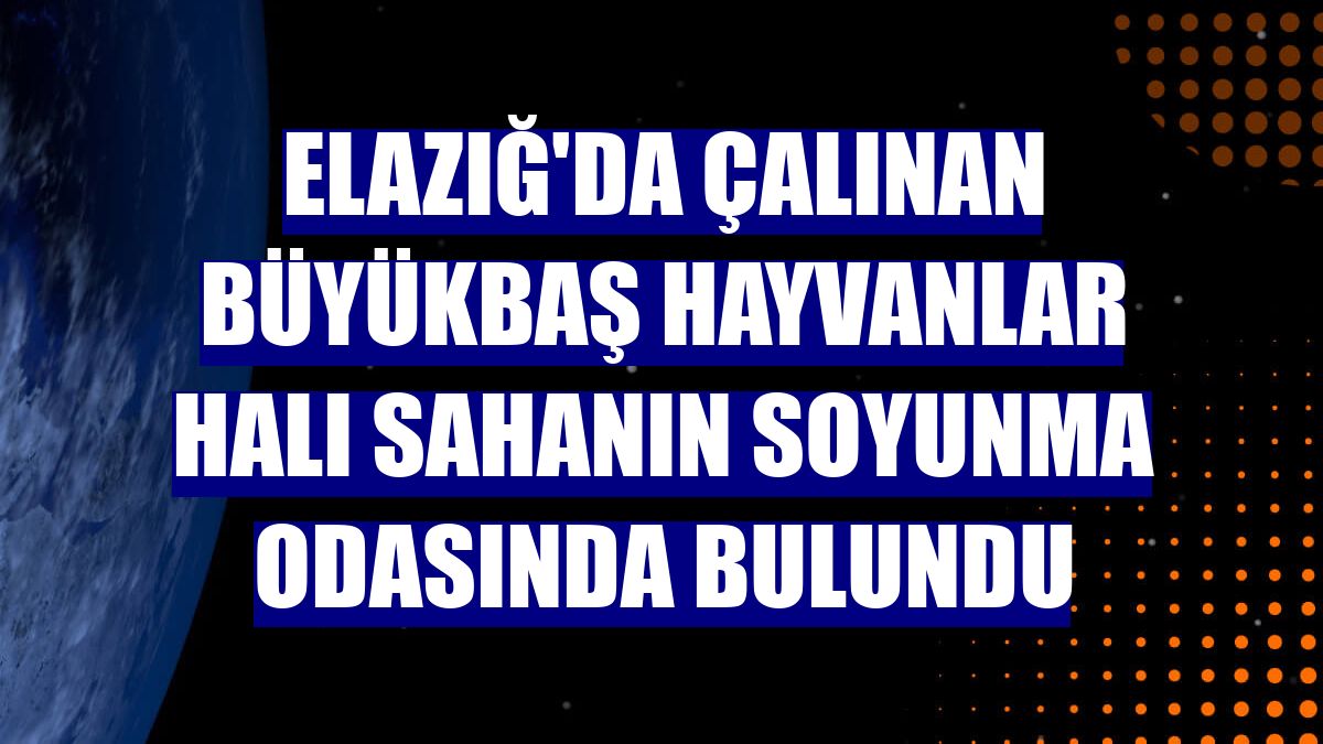 Elazığ'da çalınan büyükbaş hayvanlar halı sahanın soyunma odasında bulundu