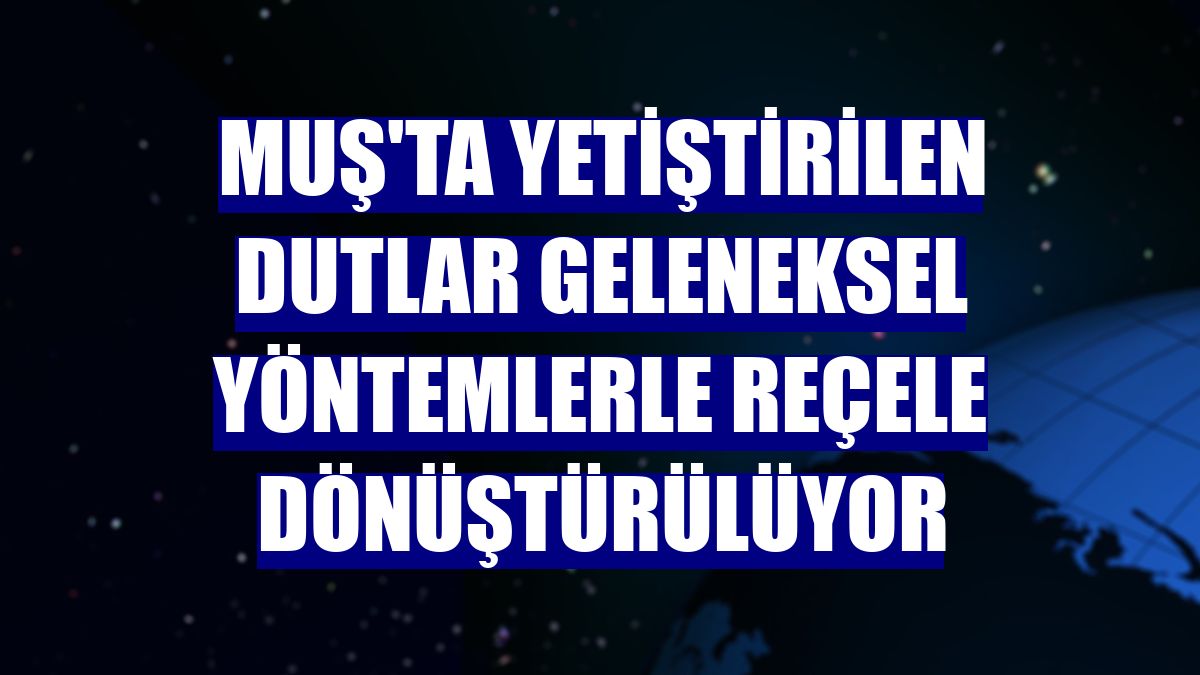 Muş'ta yetiştirilen dutlar geleneksel yöntemlerle reçele dönüştürülüyor