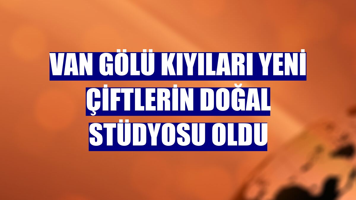 Van Gölü kıyıları yeni çiftlerin doğal stüdyosu oldu