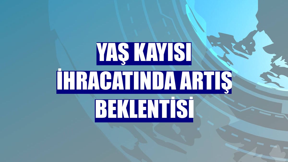 Yaş kayısı ihracatında artış beklentisi