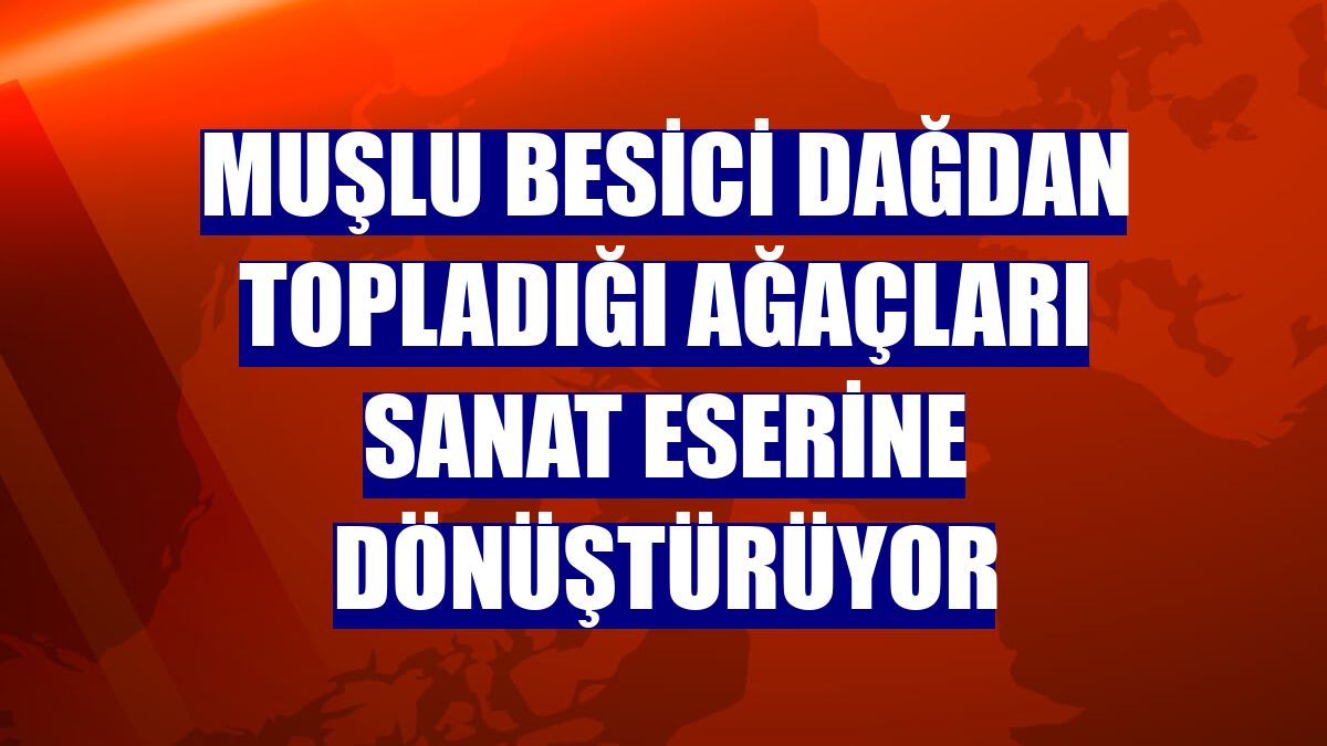 Muşlu besici dağdan topladığı ağaçları sanat eserine dönüştürüyor