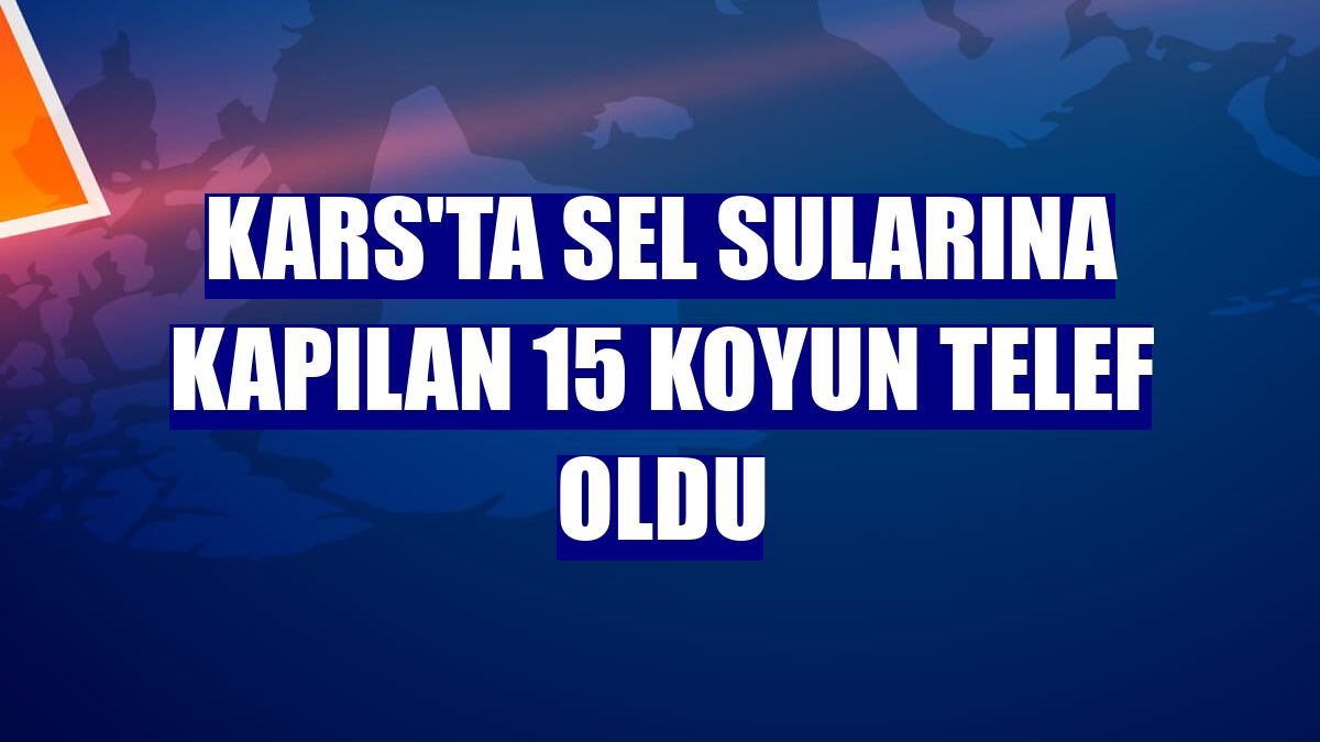 Kars'ta sel sularına kapılan 15 koyun telef oldu