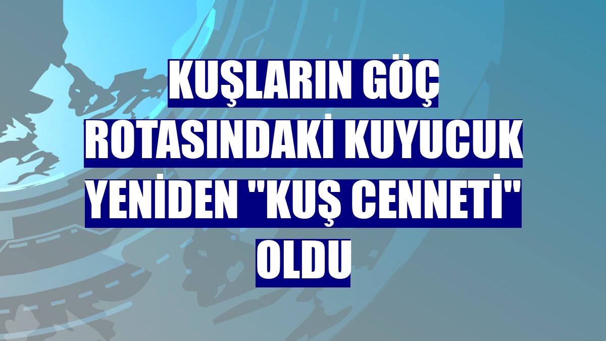 Kuşların göç rotasındaki Kuyucuk yeniden "kuş cenneti" oldu