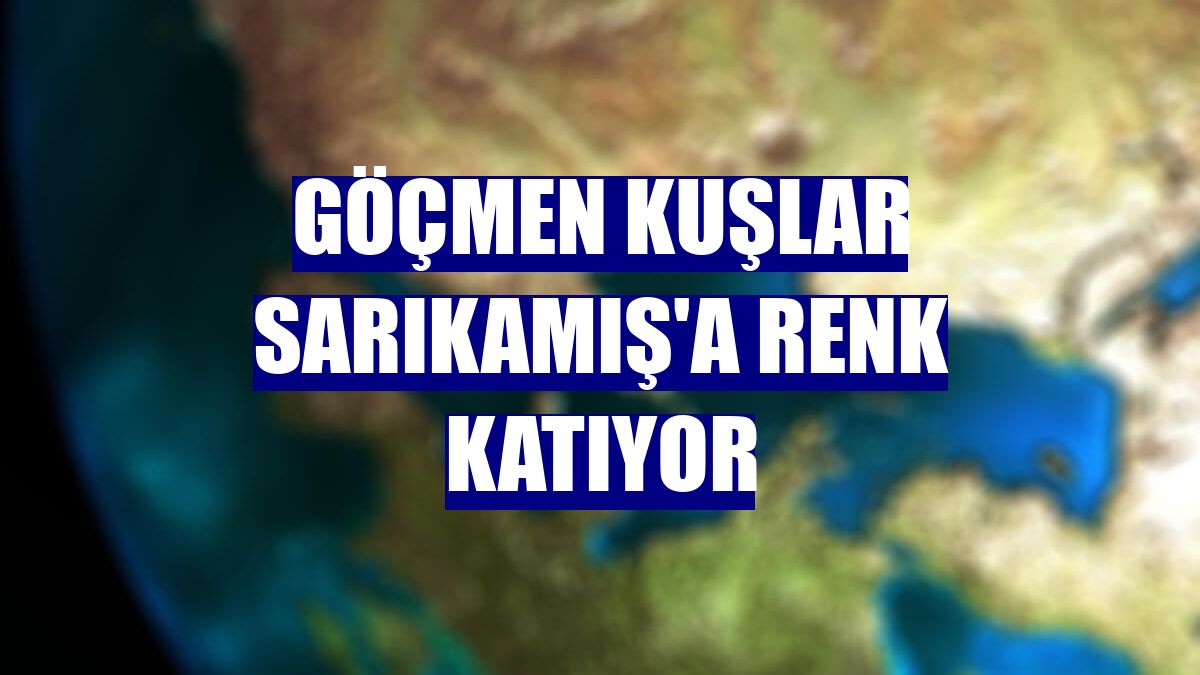 Göçmen kuşlar Sarıkamış'a renk katıyor