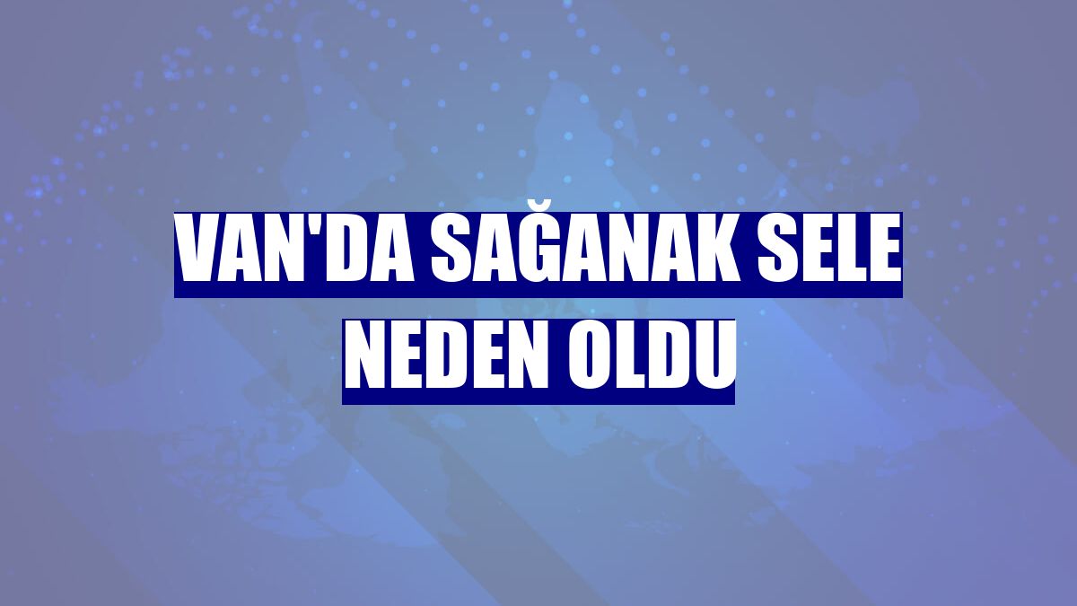 Van'da sağanak sele neden oldu