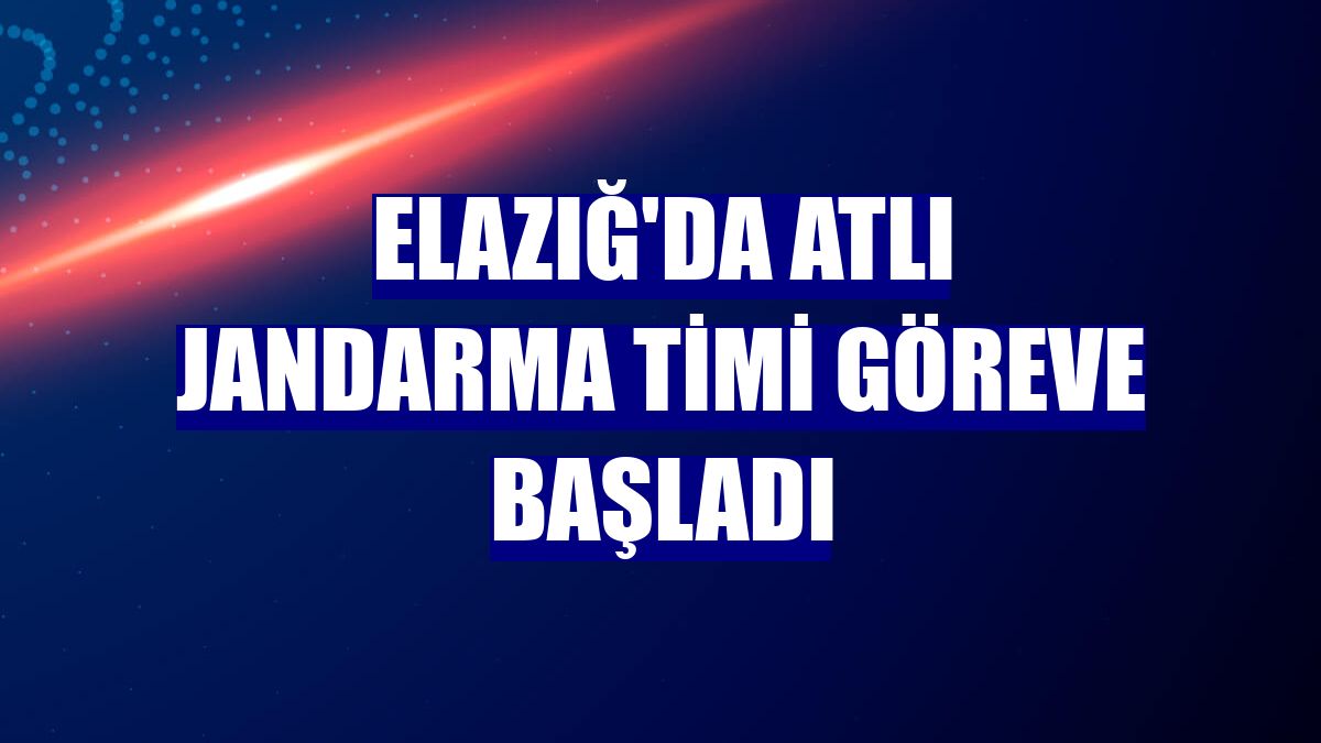 Elazığ'da atlı jandarma timi göreve başladı