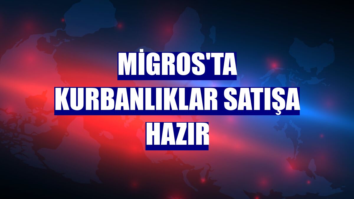 Migros'ta kurbanlıklar satışa hazır