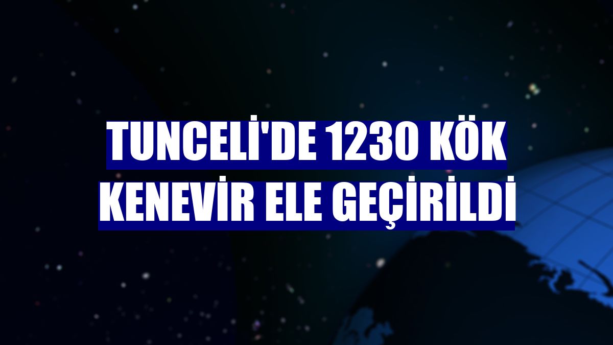 Tunceli'de 1230 kök kenevir ele geçirildi