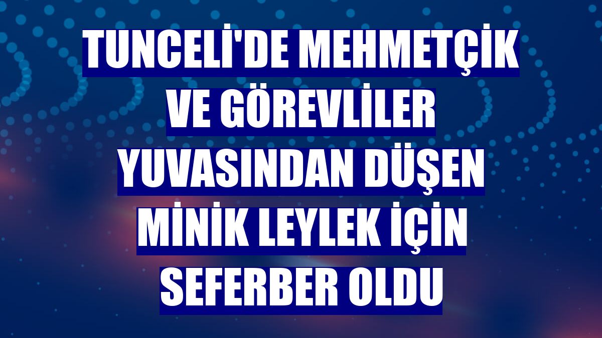 Tunceli'de Mehmetçik ve görevliler yuvasından düşen minik leylek için seferber oldu