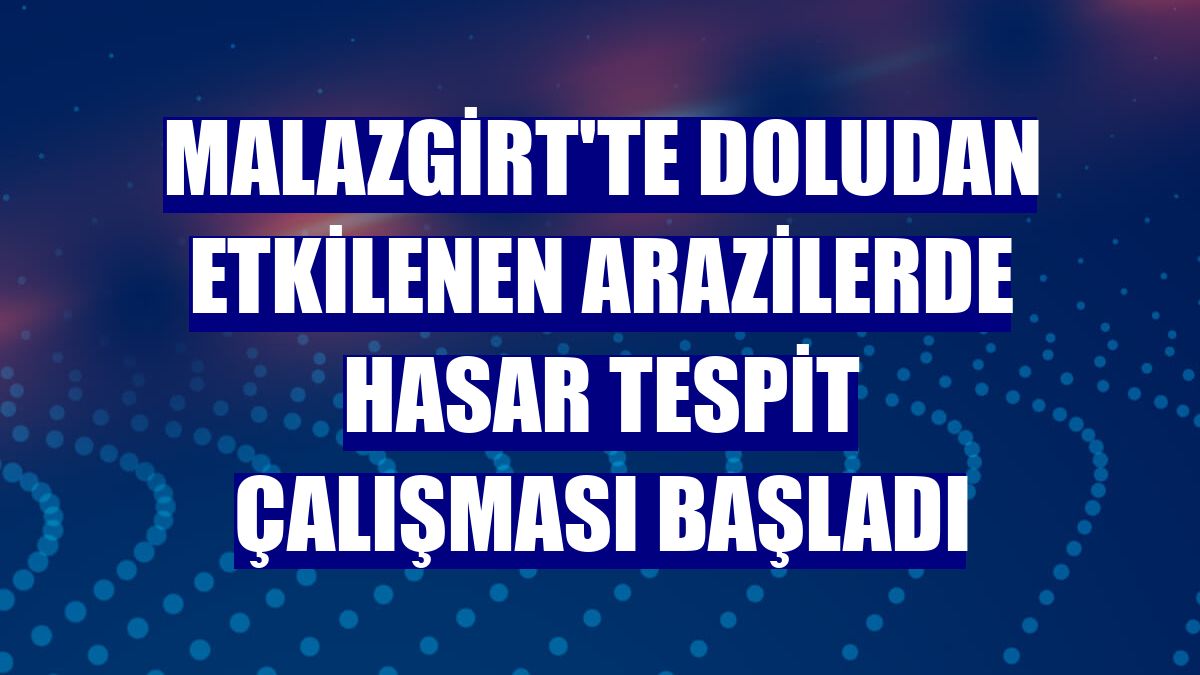 Malazgirt'te doludan etkilenen arazilerde hasar tespit çalışması başladı