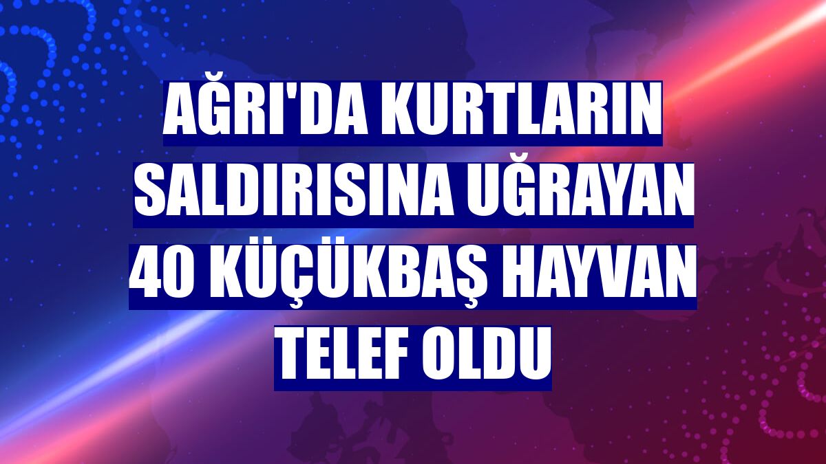 Ağrı'da kurtların saldırısına uğrayan 40 küçükbaş hayvan telef oldu