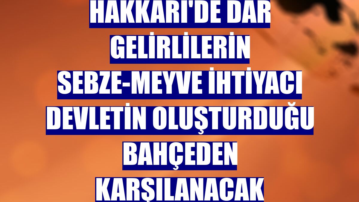 Hakkari'de dar gelirlilerin sebze-meyve ihtiyacı devletin oluşturduğu bahçeden karşılanacak