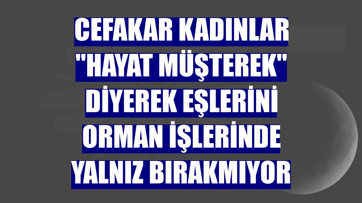 Cefakar kadınlar "hayat müşterek" diyerek eşlerini orman işlerinde yalnız bırakmıyor