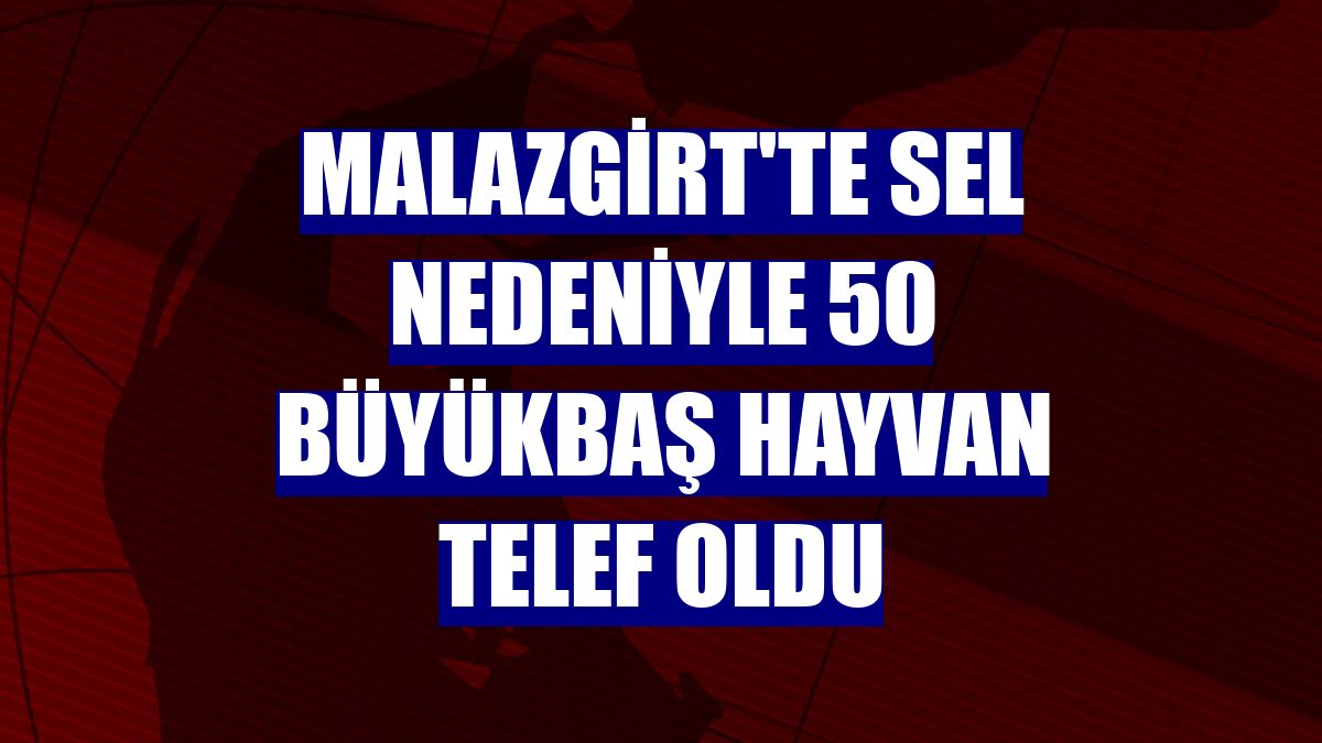 Malazgirt'te sel nedeniyle 50 büyükbaş hayvan telef oldu