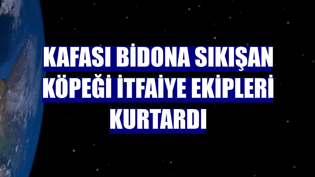 Kafası bidona sıkışan köpeği itfaiye ekipleri kurtardı