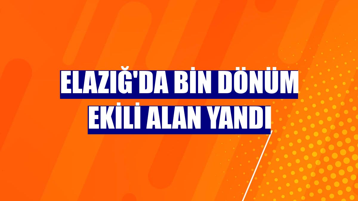 Elazığ'da bin dönüm ekili alan yandı