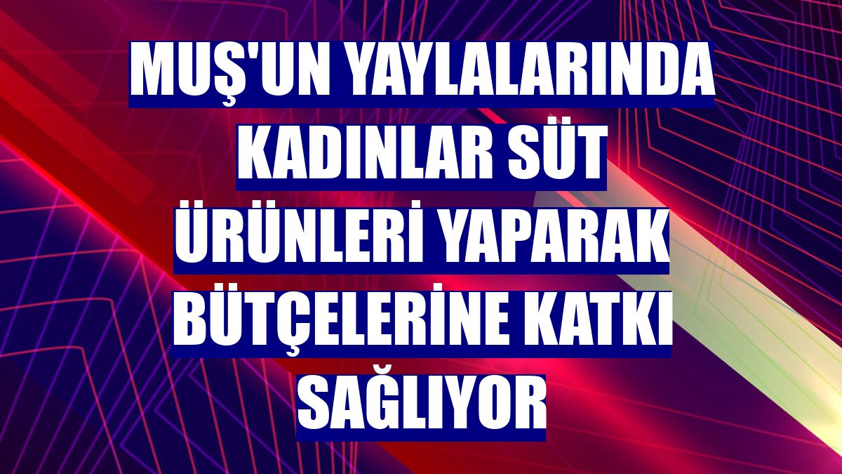 Muş'un yaylalarında kadınlar süt ürünleri yaparak bütçelerine katkı sağlıyor