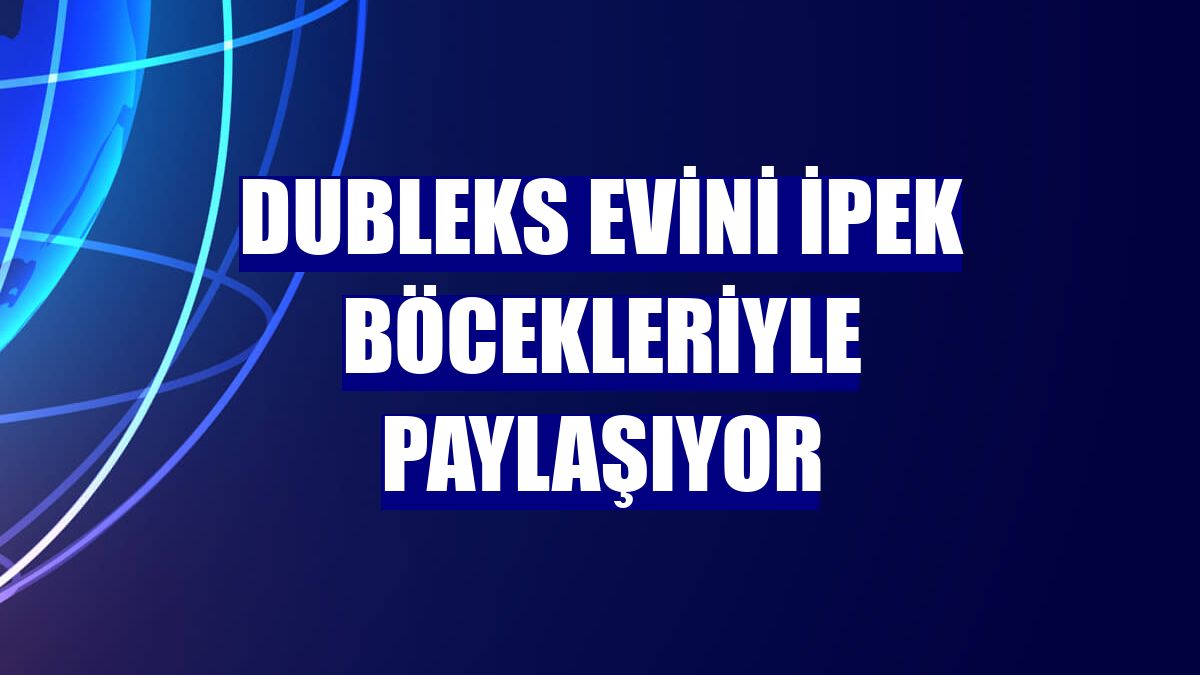 Dubleks evini ipek böcekleriyle paylaşıyor