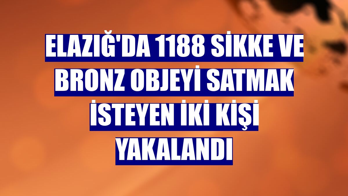 Elazığ'da 1188 sikke ve bronz objeyi satmak isteyen iki kişi yakalandı