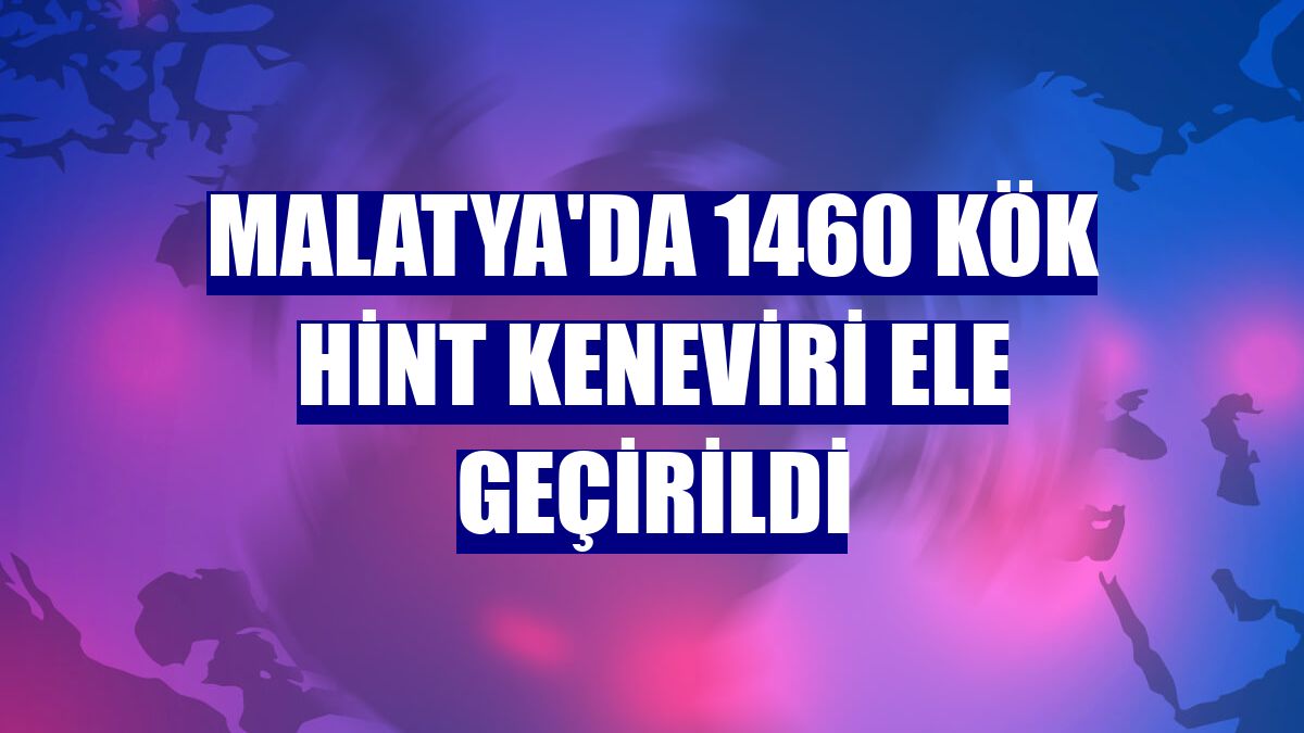 Malatya'da 1460 kök Hint keneviri ele geçirildi