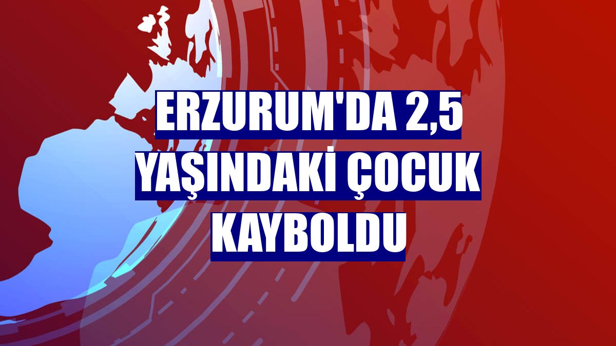Erzurum'da 2,5 yaşındaki çocuk kayboldu