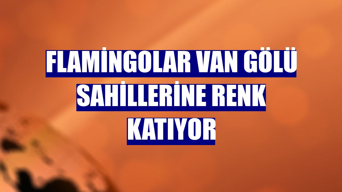 Flamingolar Van Gölü sahillerine renk katıyor
