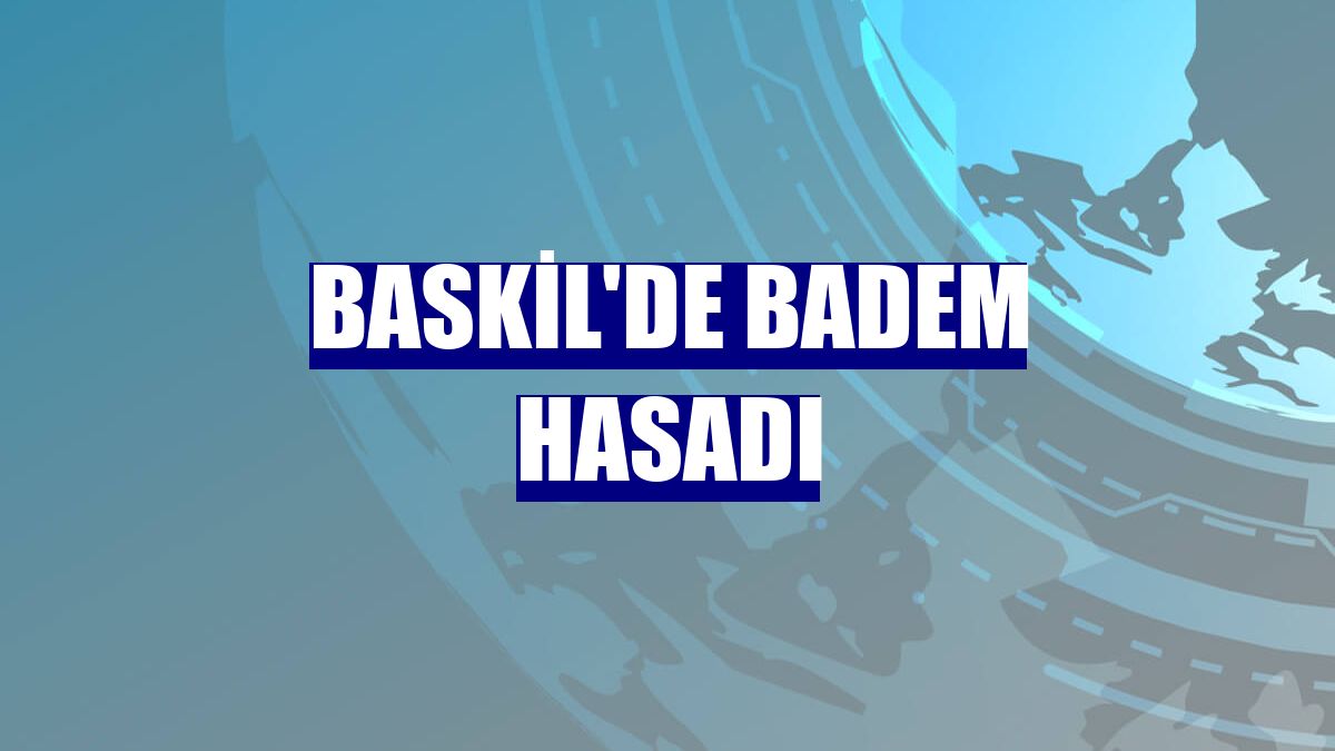 Baskil'de badem hasadı