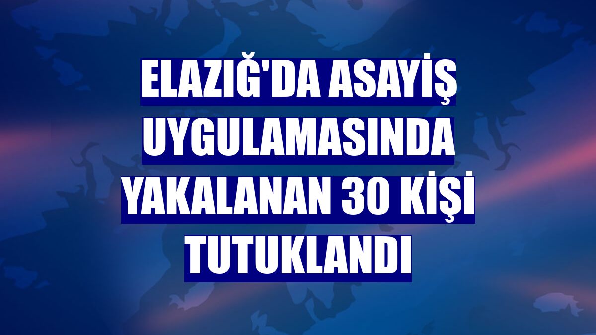 Elazığ'da asayiş uygulamasında yakalanan 30 kişi tutuklandı