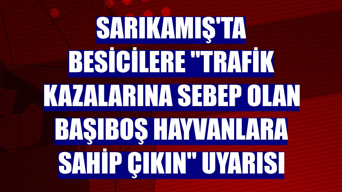 Sarıkamış'ta besicilere "trafik kazalarına sebep olan başıboş hayvanlara sahip çıkın" uyarısı