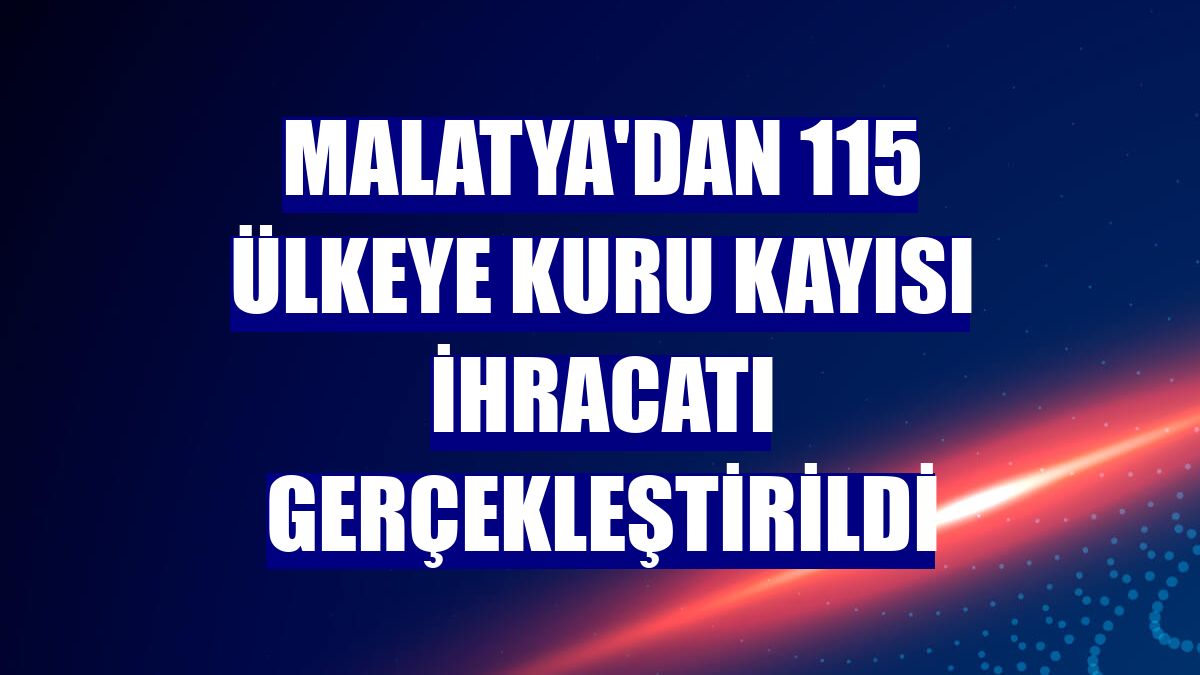 Malatya'dan 115 ülkeye kuru kayısı ihracatı gerçekleştirildi