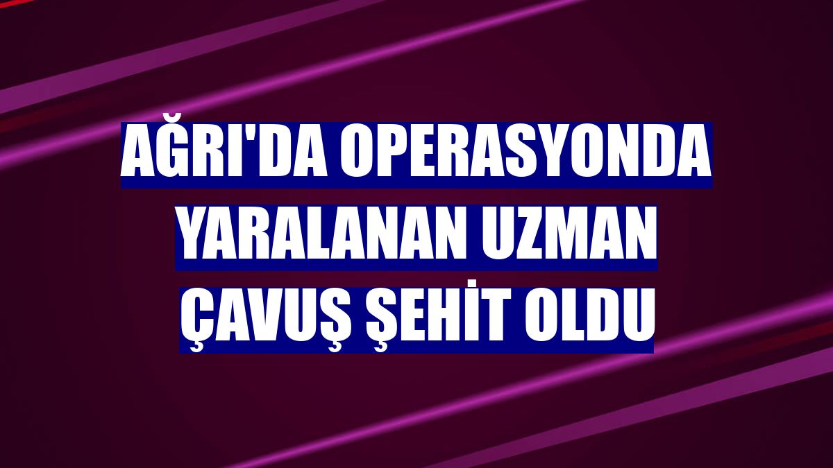 Ağrı'da operasyonda yaralanan uzman çavuş şehit oldu