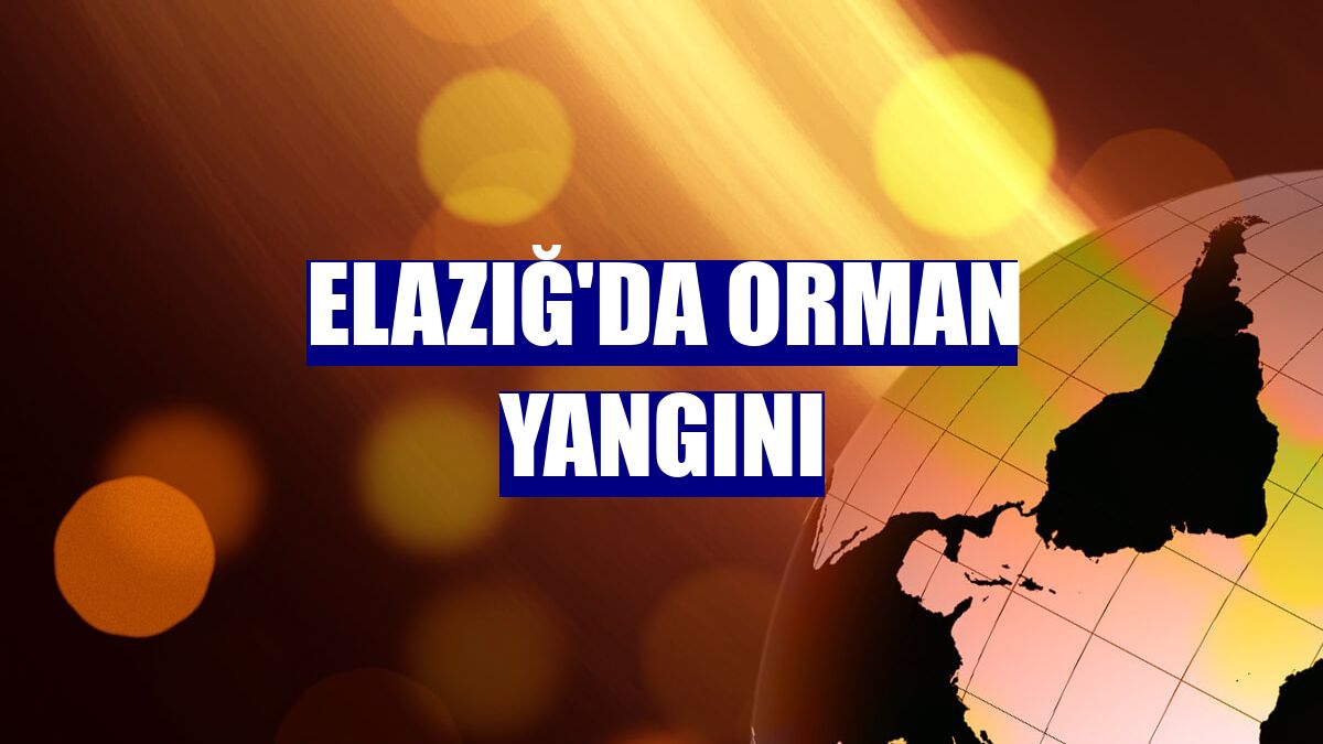 Elazığ'da orman yangını