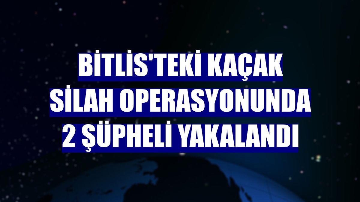 Bitlis'teki kaçak silah operasyonunda 2 şüpheli yakalandı
