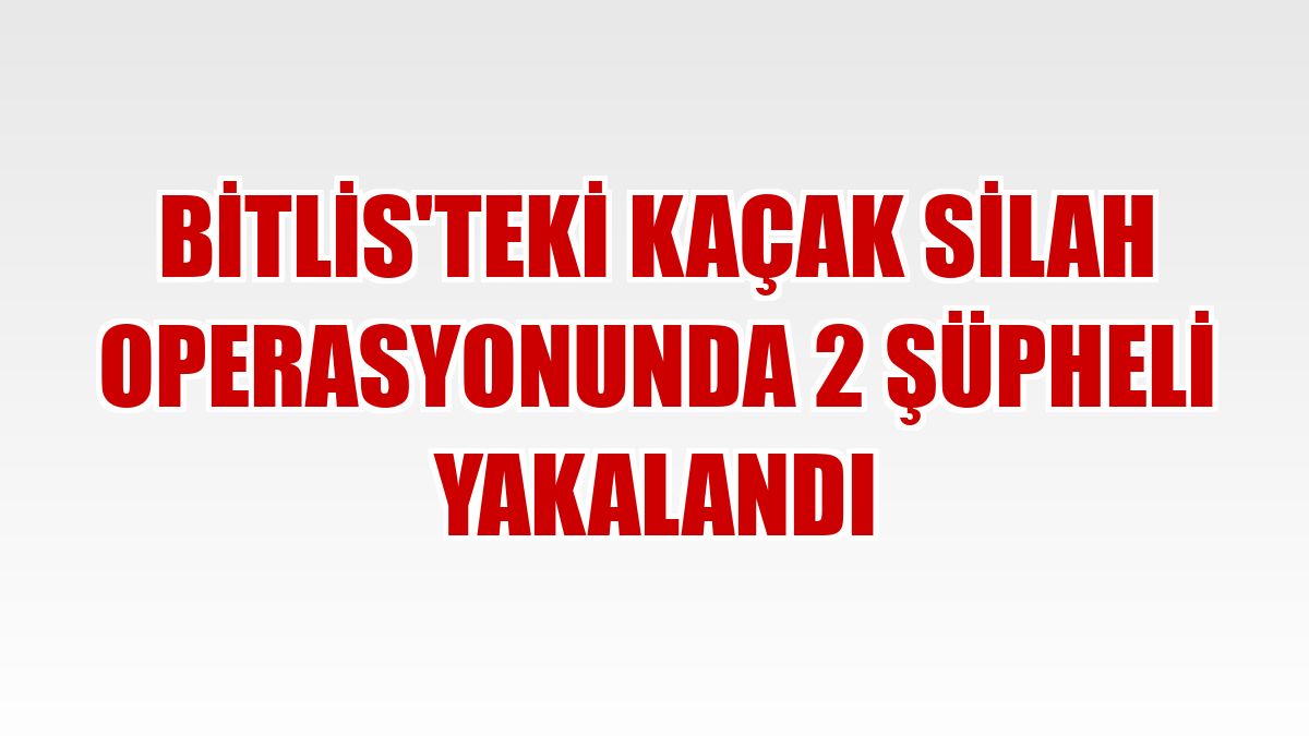 Bitlis'teki kaçak silah operasyonunda 2 şüpheli yakalandı